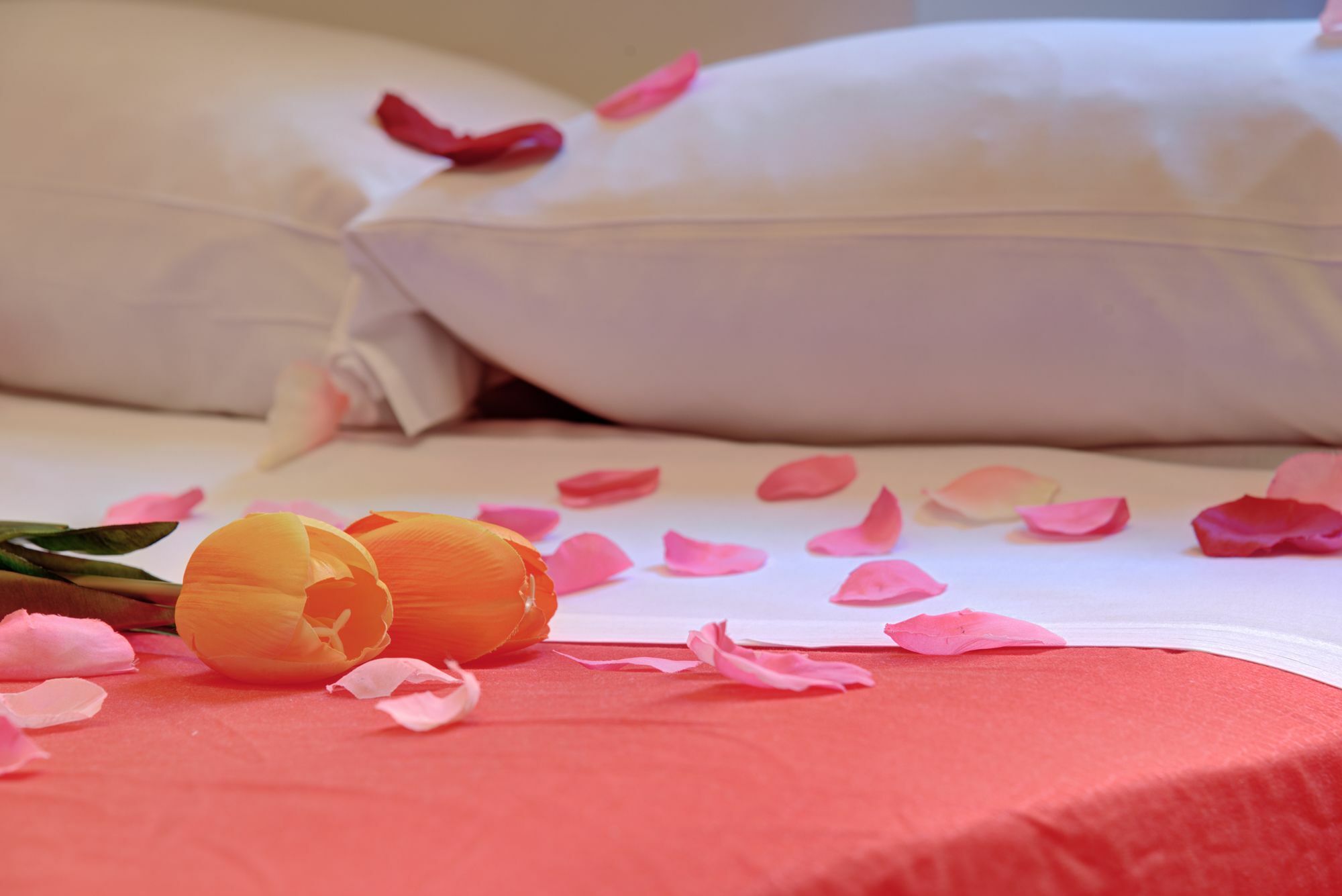 Ad Hoc Guest House Rome Luaran gambar
